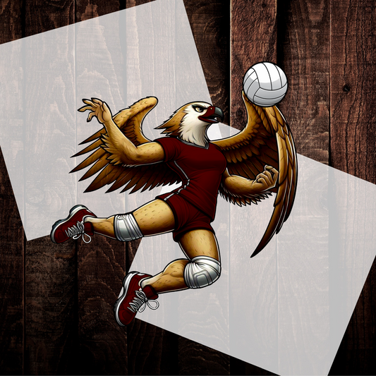 Falcon Volleyball- Maroon DIGITAL DOWNLOAD, DTF PRINT, OR SOFTSTYLE SHIRT